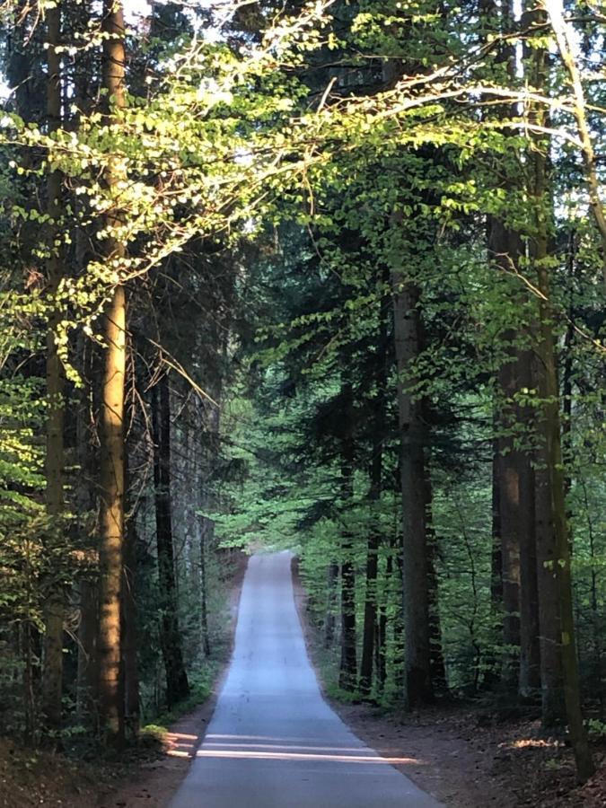 Wanderlust Chiemgau Daire Bad Endorf Dış mekan fotoğraf