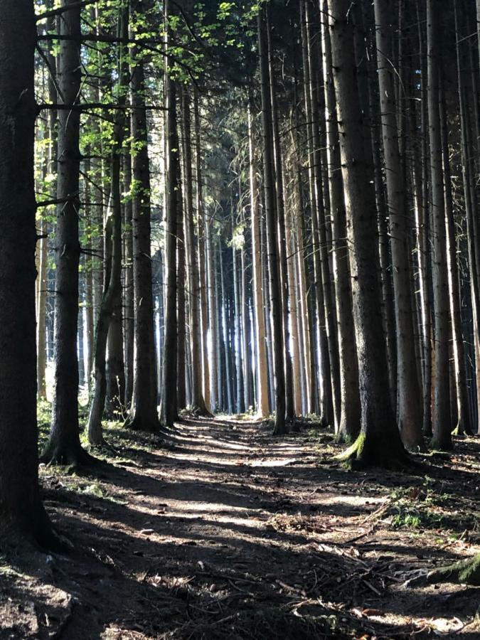 Wanderlust Chiemgau Daire Bad Endorf Dış mekan fotoğraf