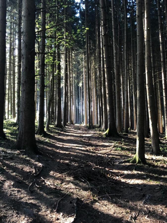 Wanderlust Chiemgau Daire Bad Endorf Dış mekan fotoğraf
